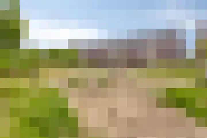 Grote Boel 84 Nijmegen thumbnail 49