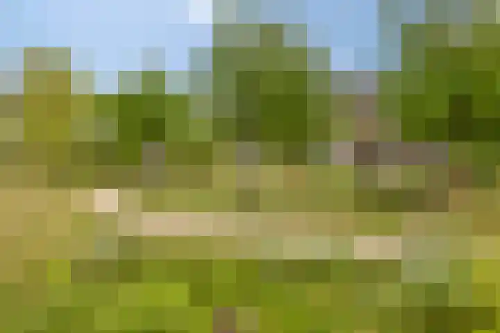 Grote Boel 84 Nijmegen thumbnail 50