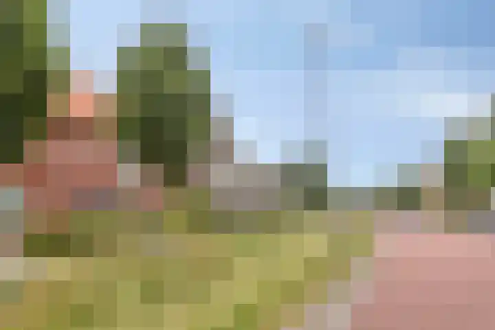 Grote Boel 84 Nijmegen thumbnail 8
