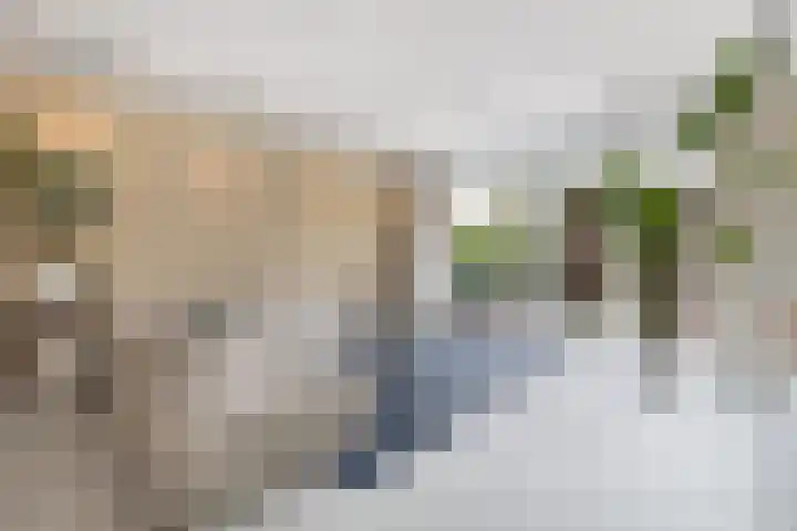 Grote Bogerd 14 Teteringen thumbnail 11