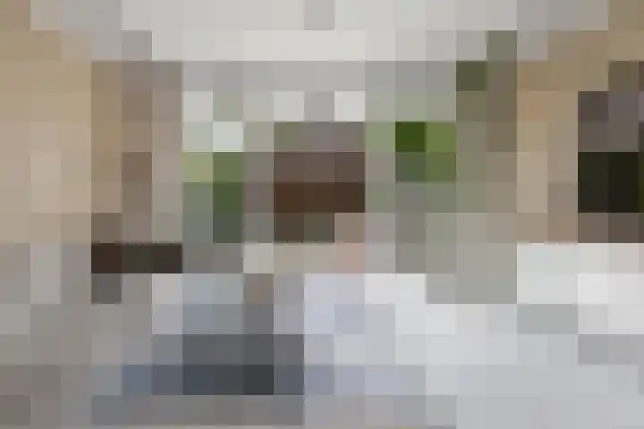 Grote Bogerd 14 Teteringen thumbnail 12
