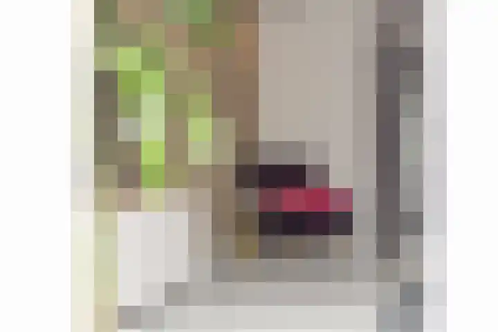 Grote Bogerd 14 Teteringen thumbnail 15