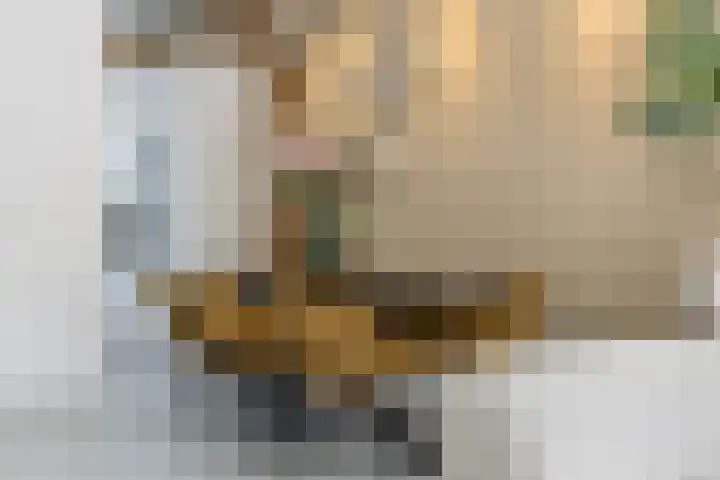 Grote Bogerd 14 Teteringen thumbnail 18