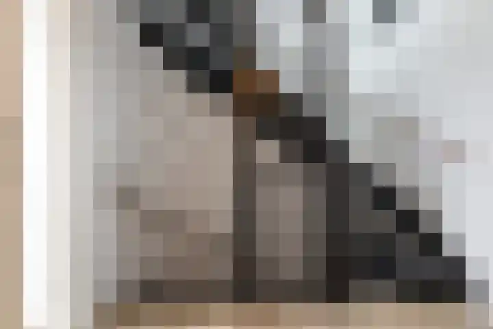 Grote Bogerd 14 Teteringen thumbnail 22