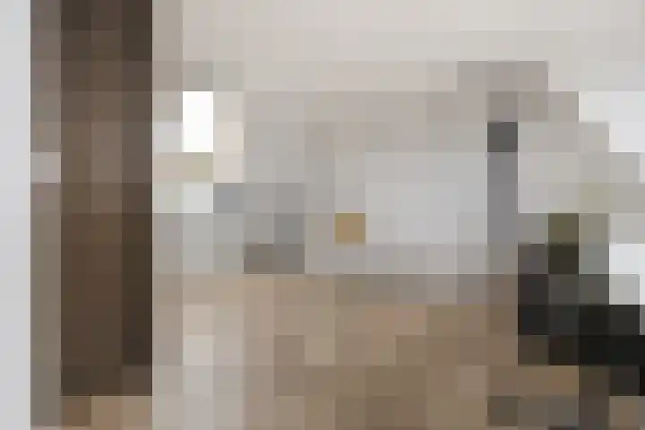 Grote Bogerd 14 Teteringen thumbnail 31