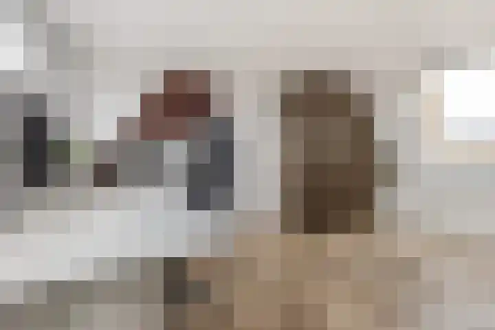 Grote Bogerd 14 Teteringen thumbnail 33
