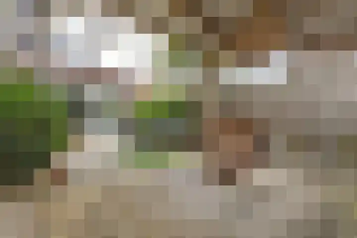Grote Bogerd 14 Teteringen thumbnail 36