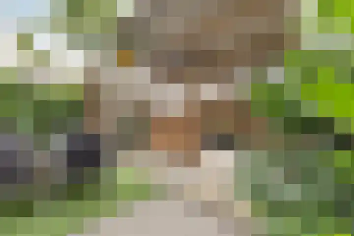 Grote Bogerd 14 Teteringen thumbnail 39