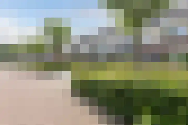 Grote Bogerd 14 Teteringen thumbnail 6