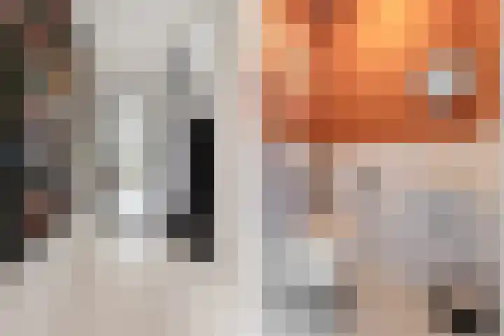 Grote Bogerd 14 Teteringen thumbnail 7