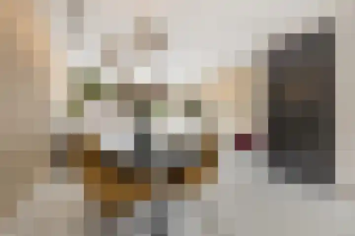 Grote Bogerd 14 Teteringen thumbnail 9