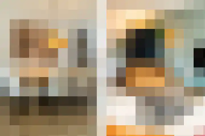 Grote Bogerd 23 Teteringen thumbnail 14