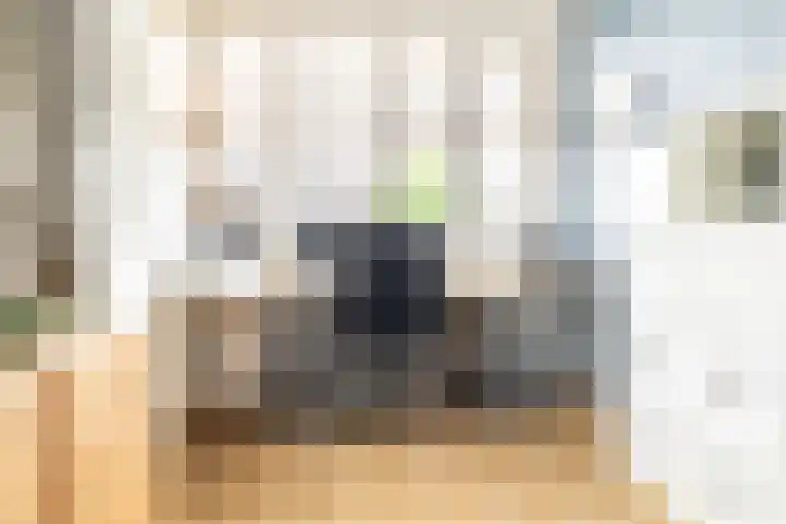 Grote Bogerd 23 Teteringen thumbnail 23
