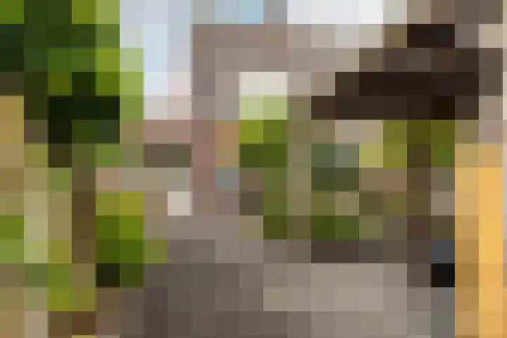 Grote Bogerd 23 Teteringen thumbnail 32