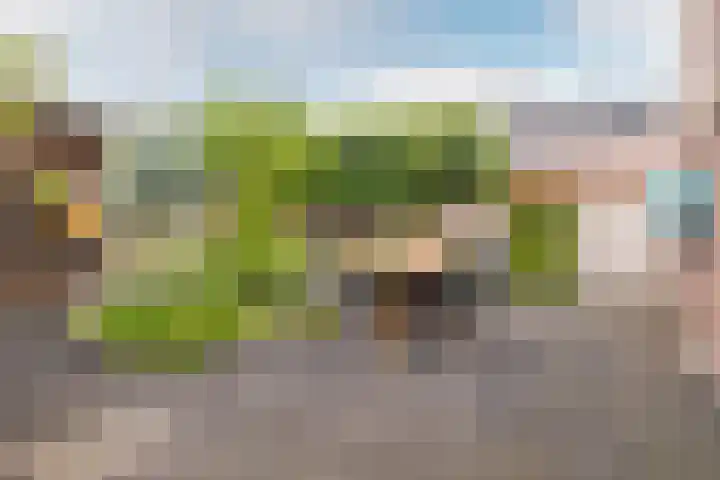 Grote Bogerd 23 Teteringen thumbnail 33