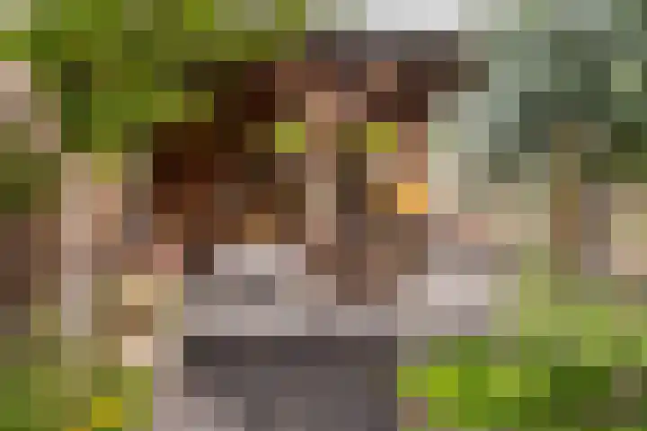 Grote Bogerd 23 Teteringen thumbnail 35