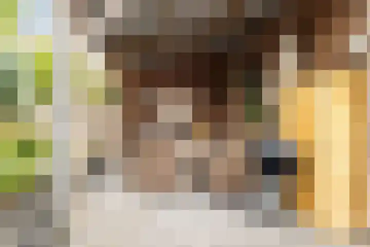 Grote Bogerd 23 Teteringen thumbnail 36