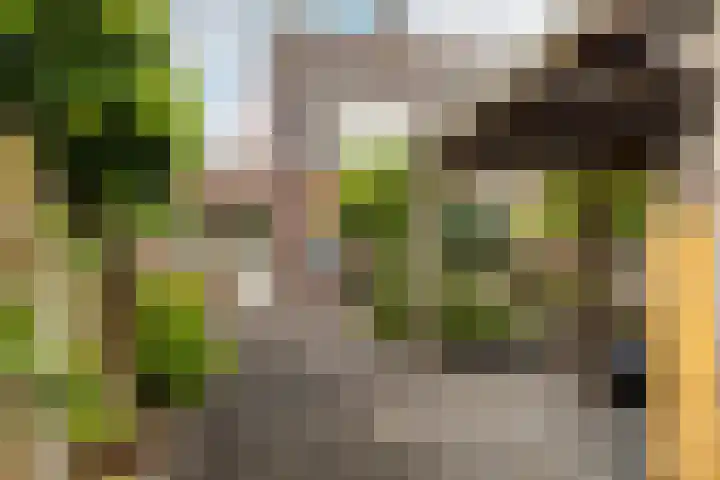 Grote Bogerd 23 Teteringen thumbnail 4