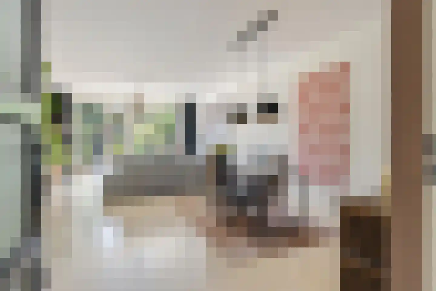 Grote Bogerd 4 Teteringen thumbnail 15
