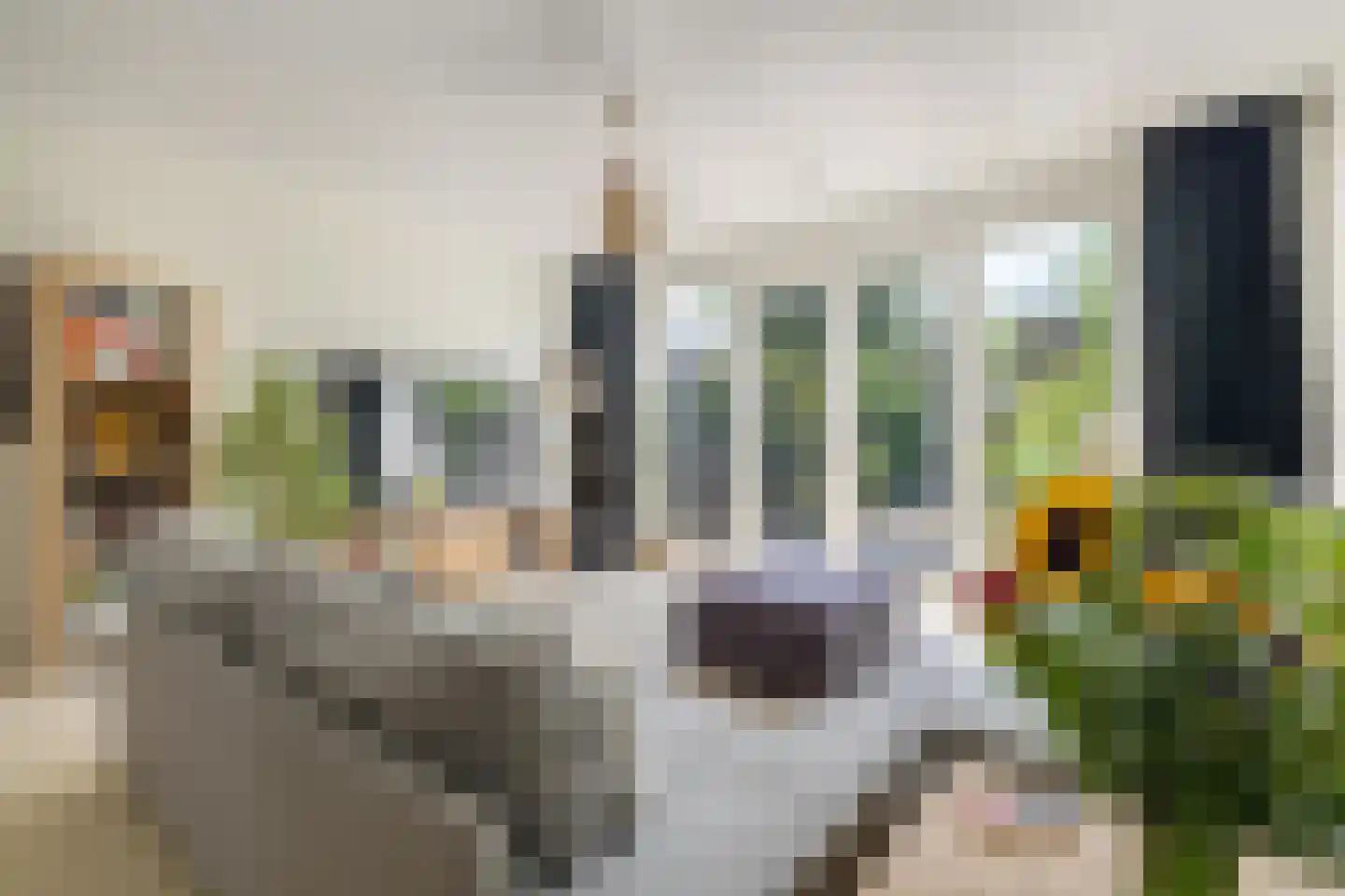 Grote Bogerd 4 Teteringen thumbnail 21