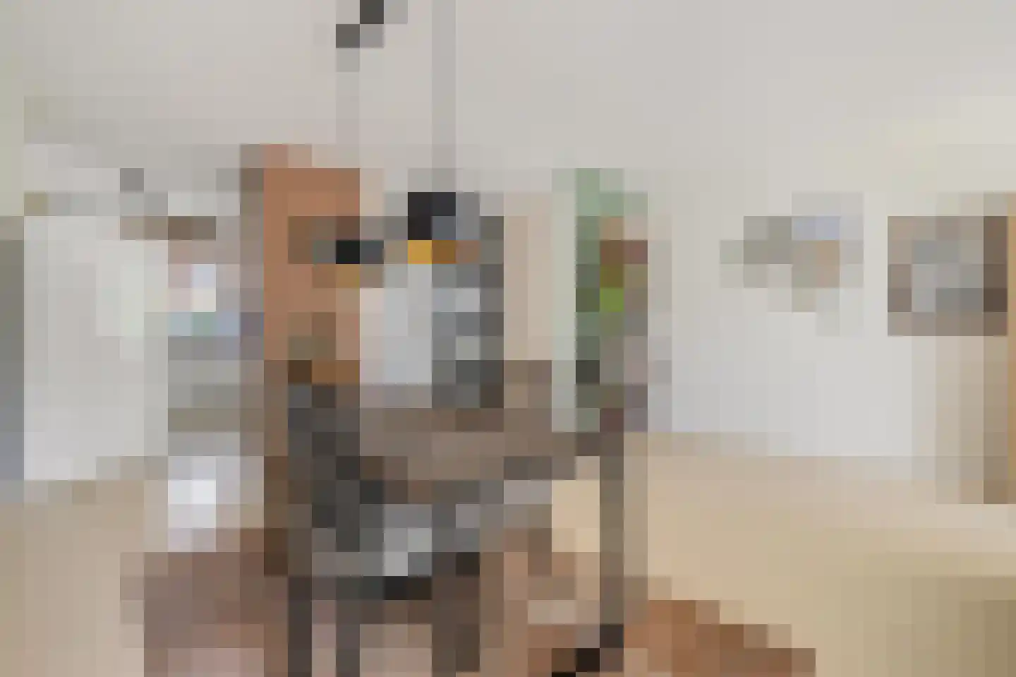 Grote Bogerd 4 Teteringen thumbnail 25