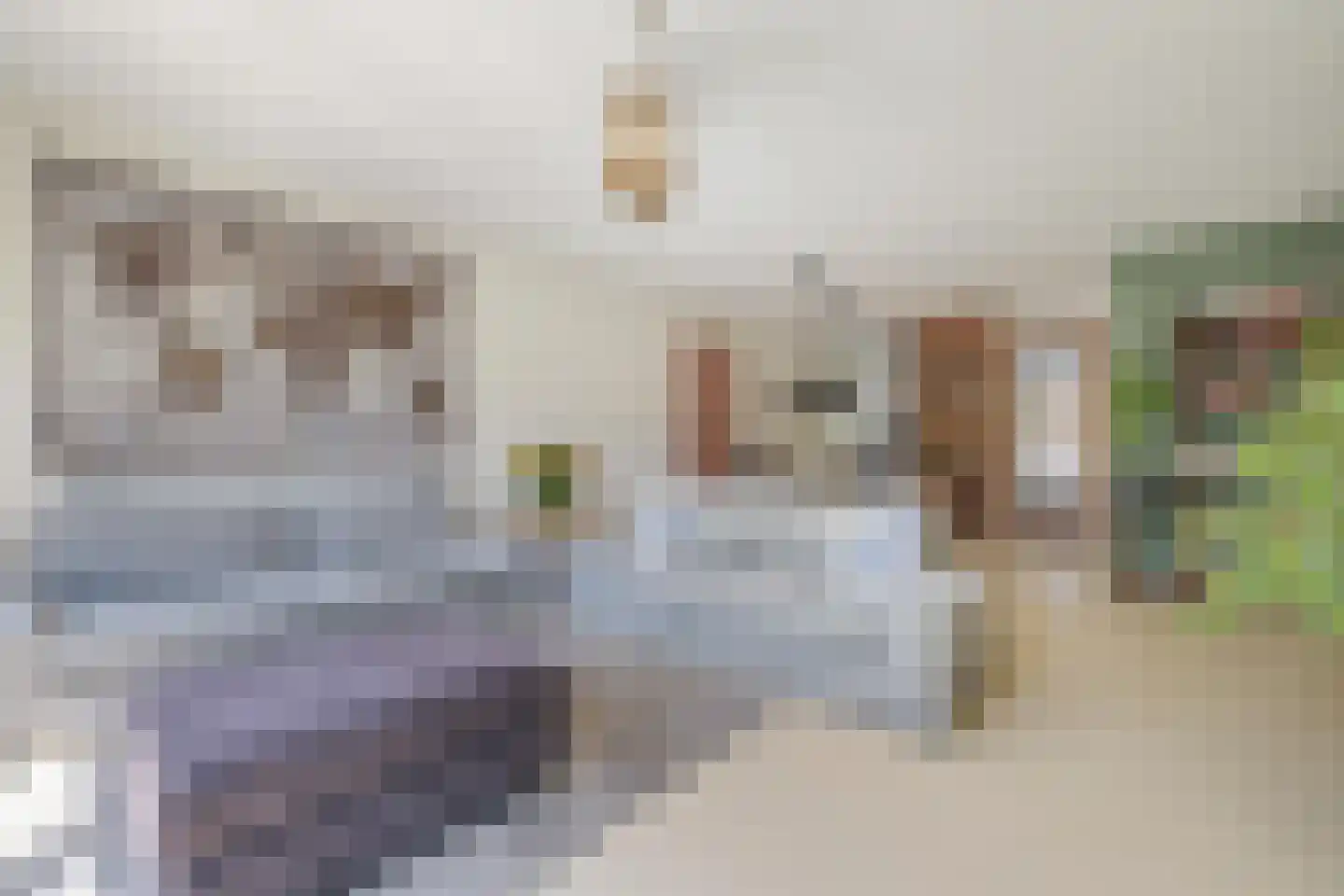 Grote Bogerd 4 Teteringen thumbnail 28