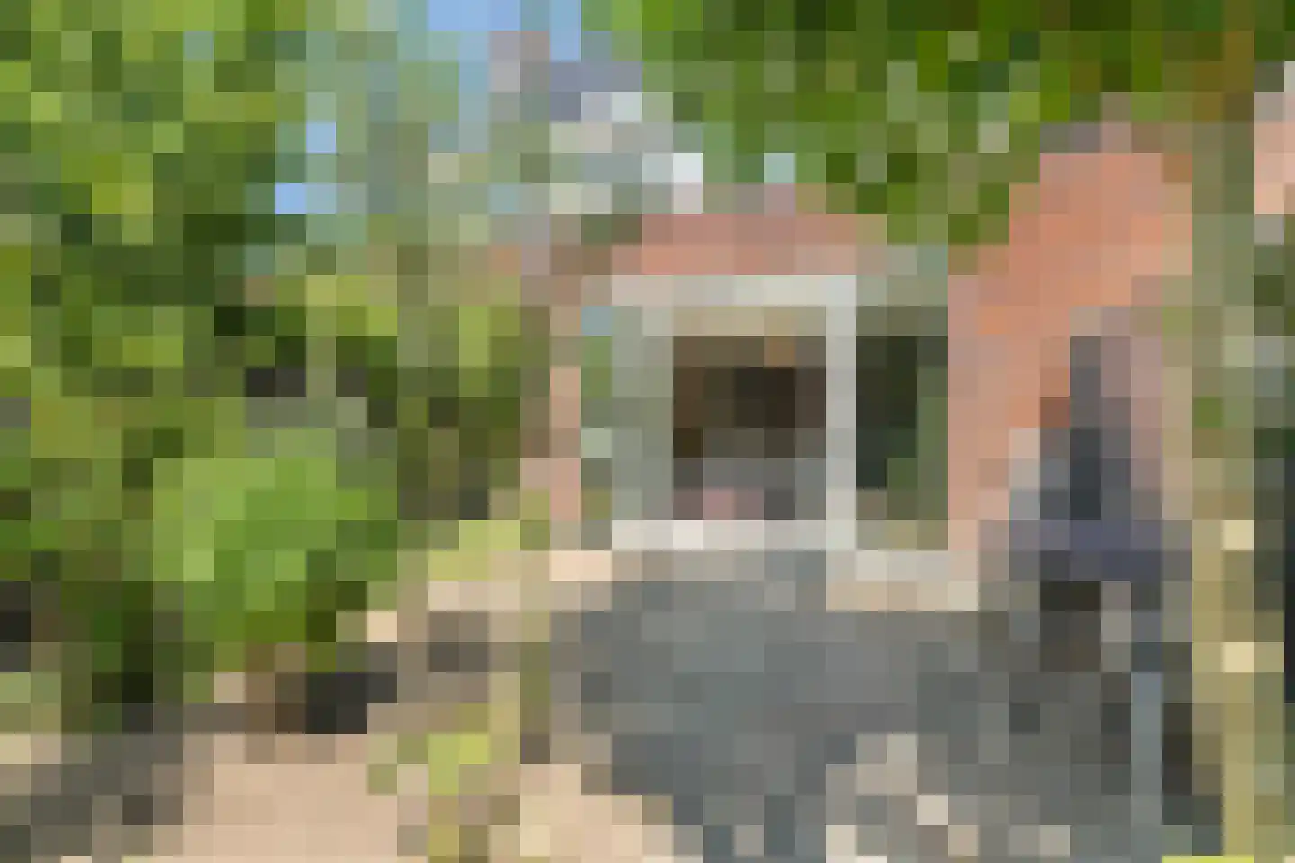 Grote Bogerd 4 Teteringen thumbnail 55