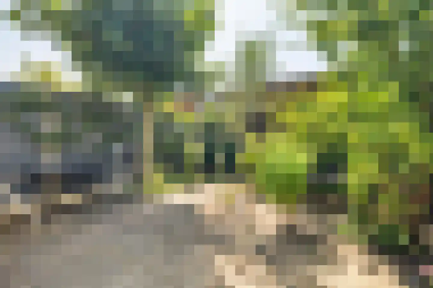 Grote Bogerd 4 Teteringen thumbnail 57