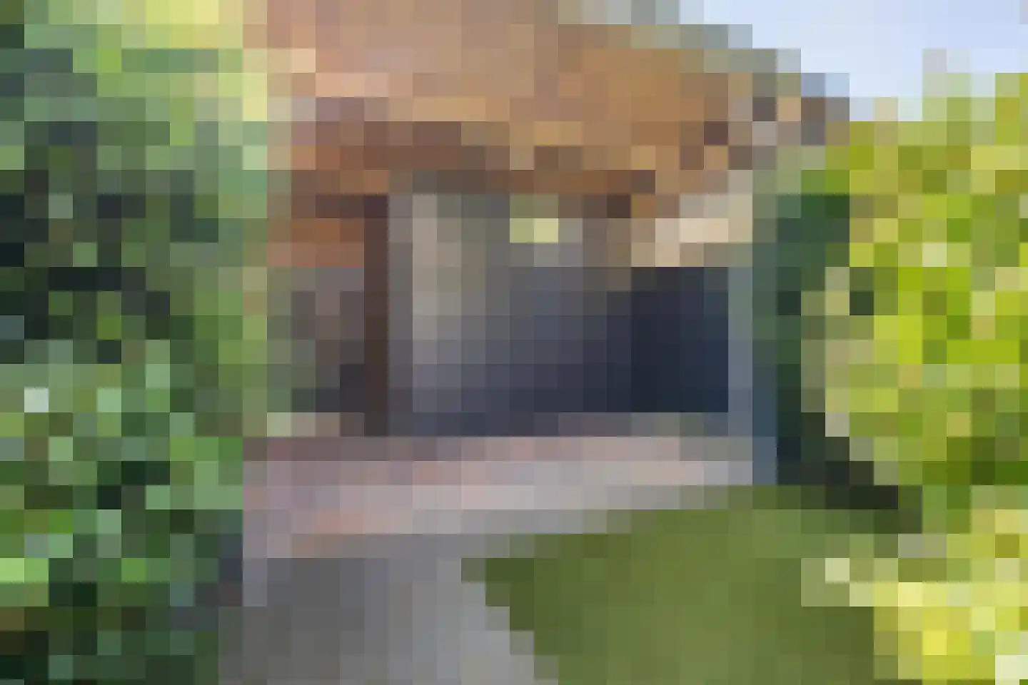 Grote Bogerd 4 Teteringen thumbnail 58