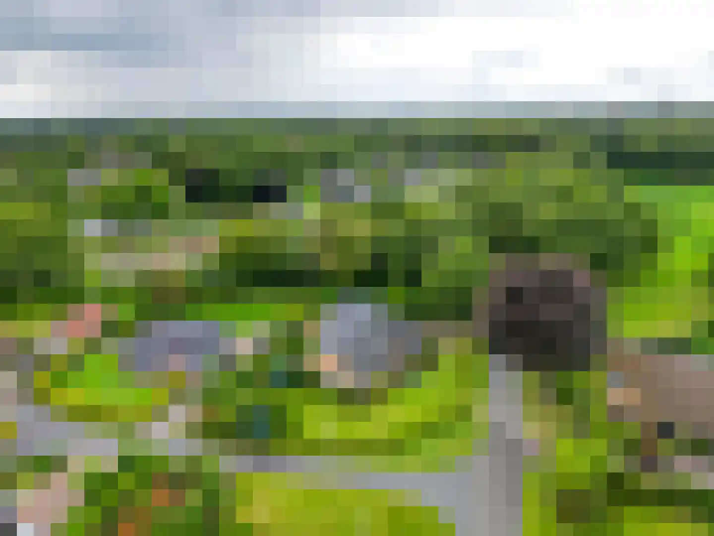 Grote Borg 14 Stadskanaal thumbnail 58