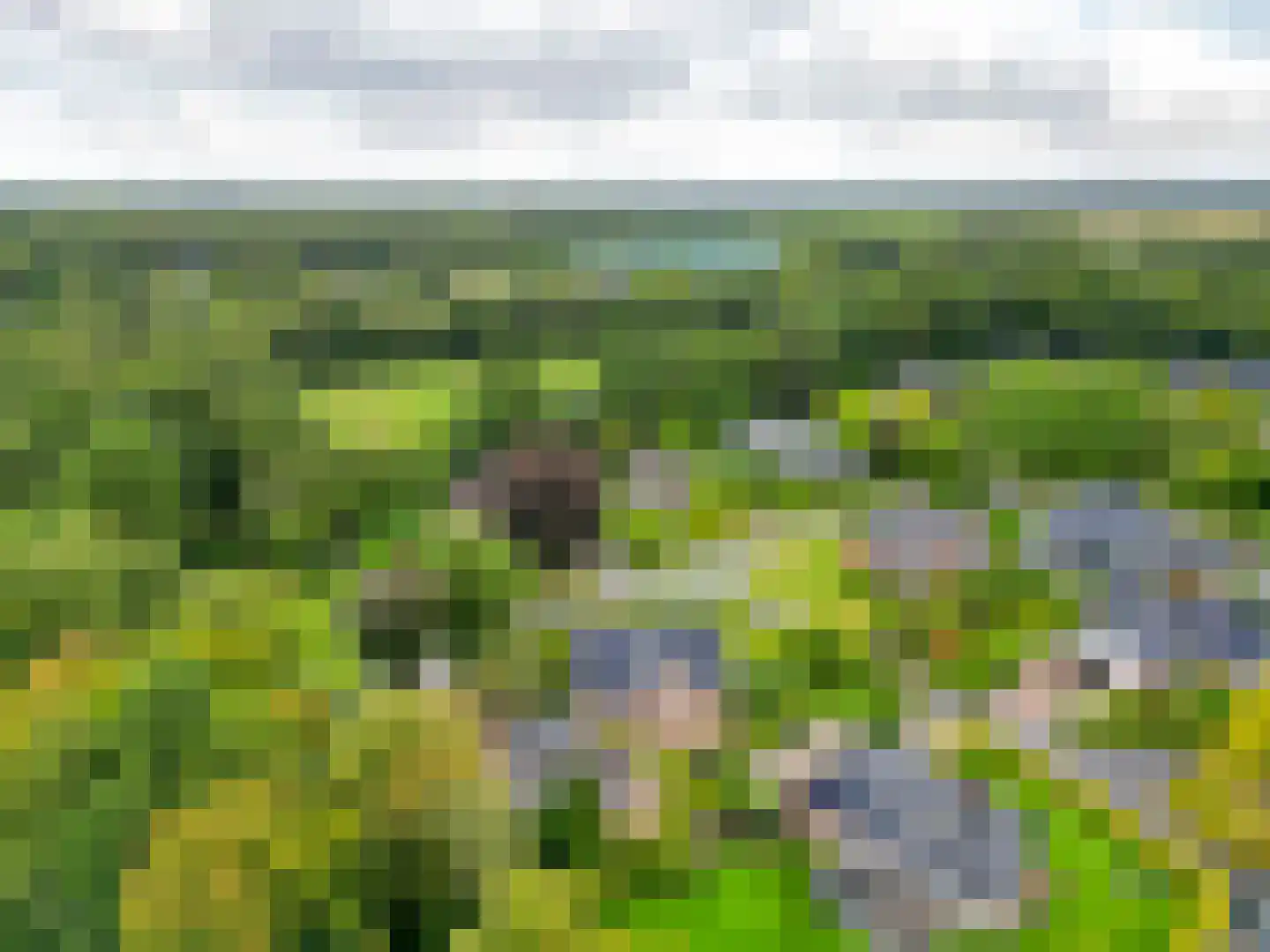 Grote Borg 14 Stadskanaal thumbnail 62