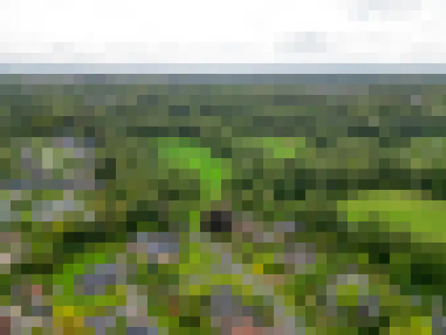 Grote Borg 14 Stadskanaal thumbnail 64