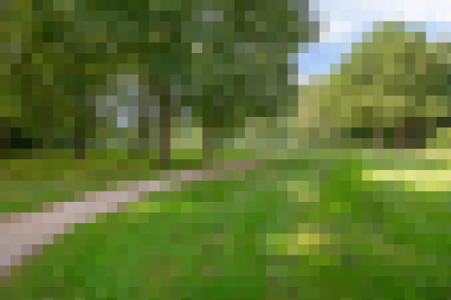Grote Borg 14 Stadskanaal thumbnail 65