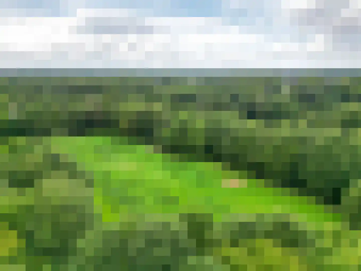 Grote Borg 14 Stadskanaal thumbnail 66