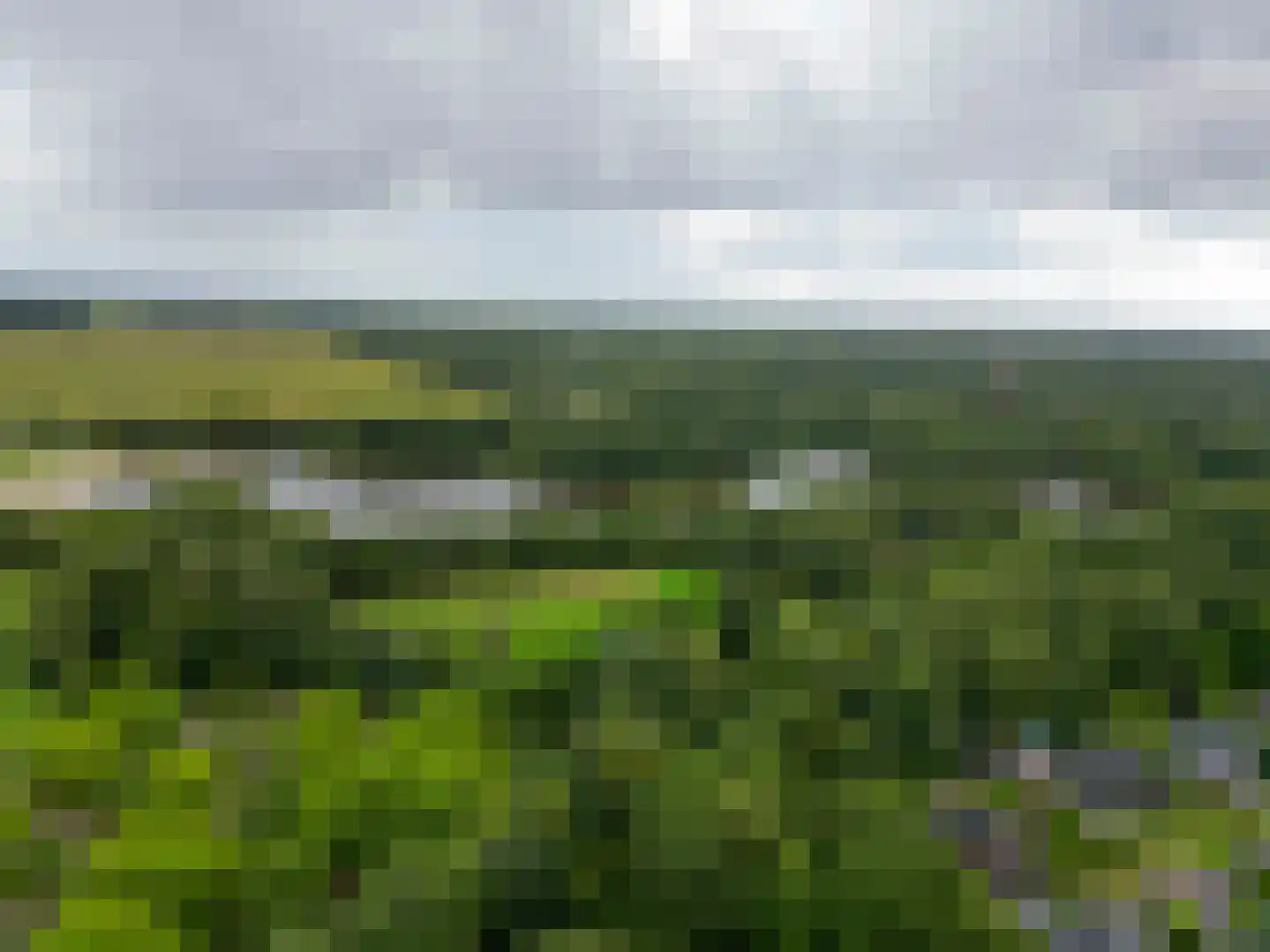 Grote Borg 14 Stadskanaal thumbnail 67