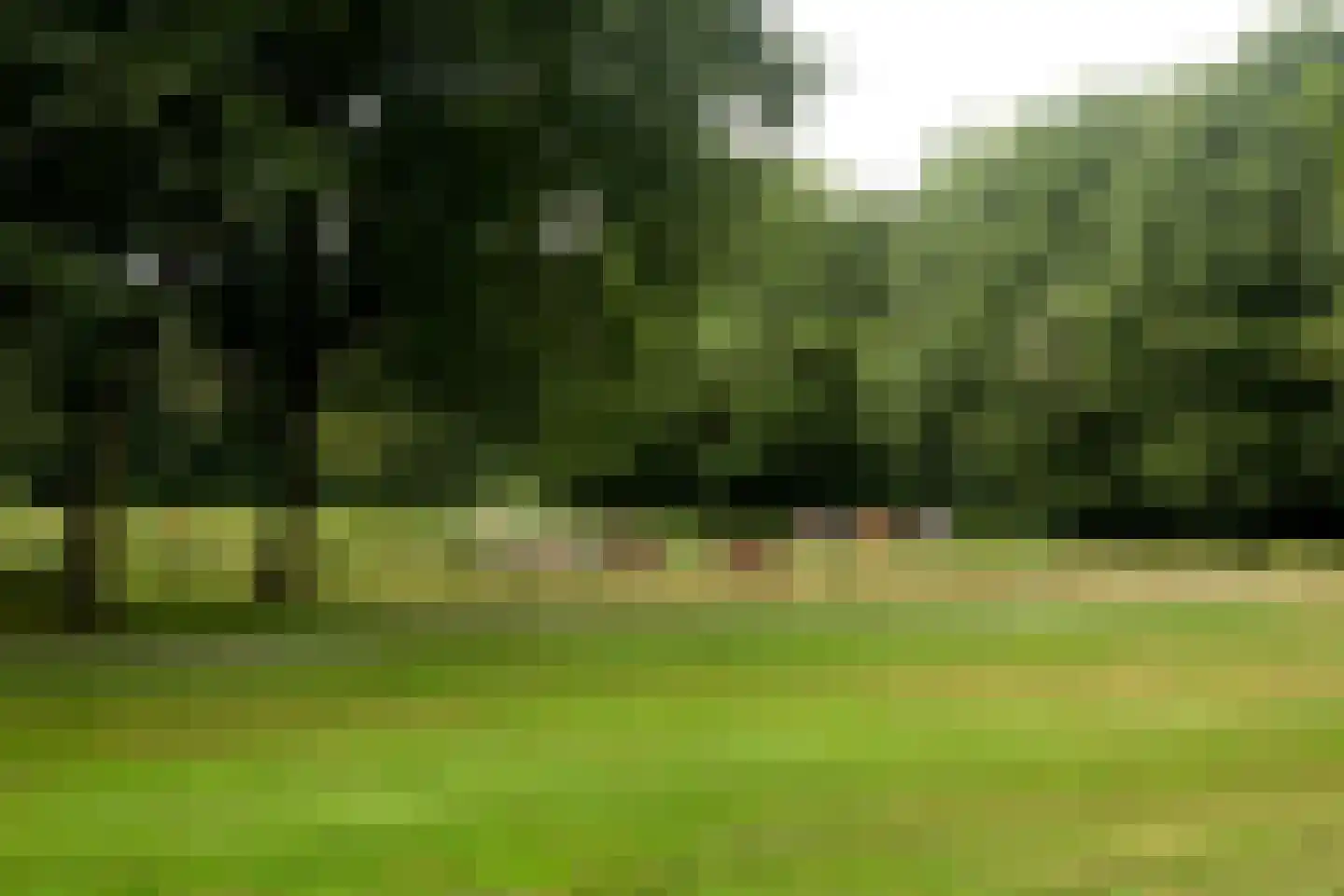 Grote Borg 14 Stadskanaal thumbnail 69
