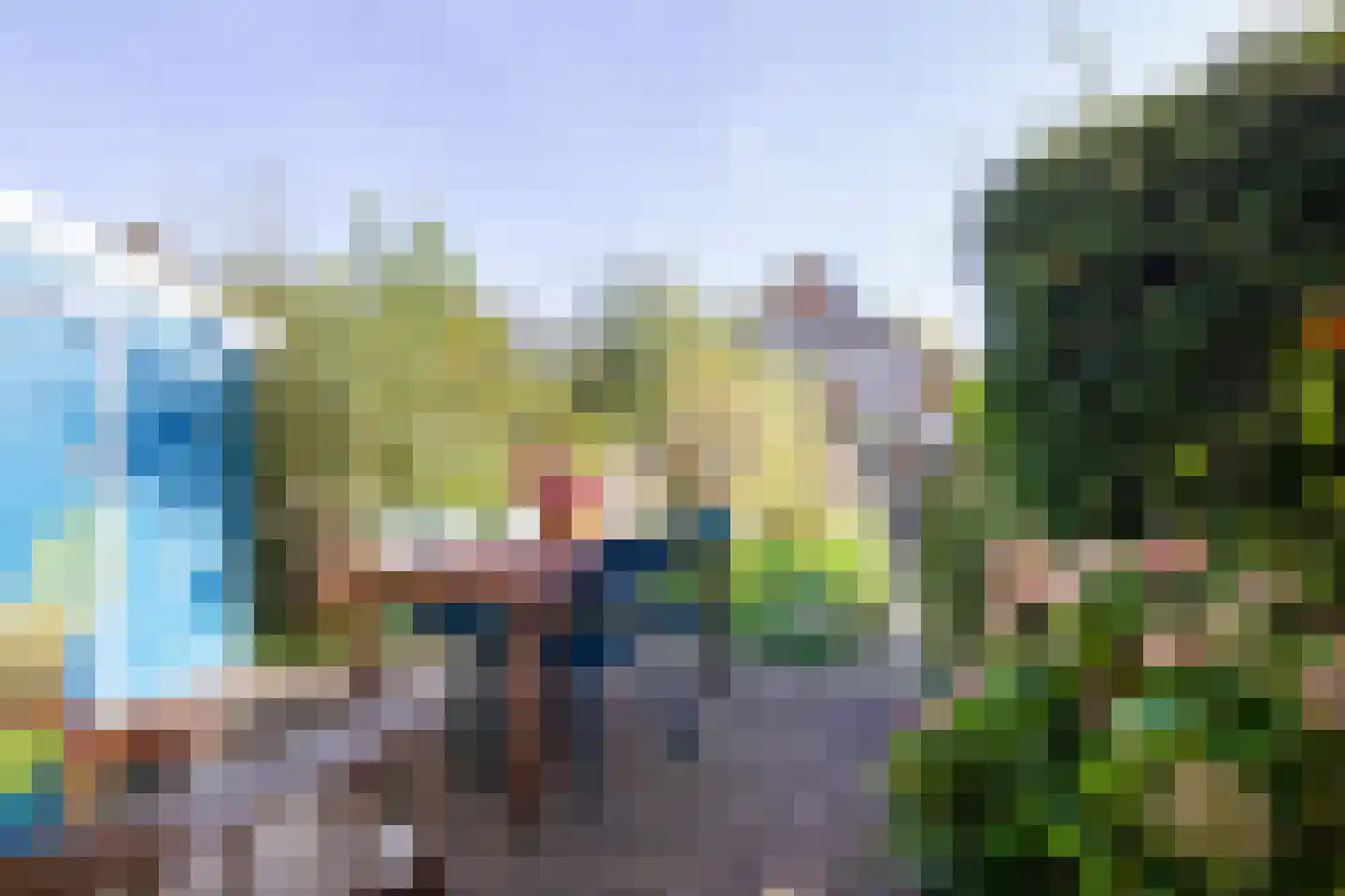 Grote Boterbloem 113 Velserbroek thumbnail 29