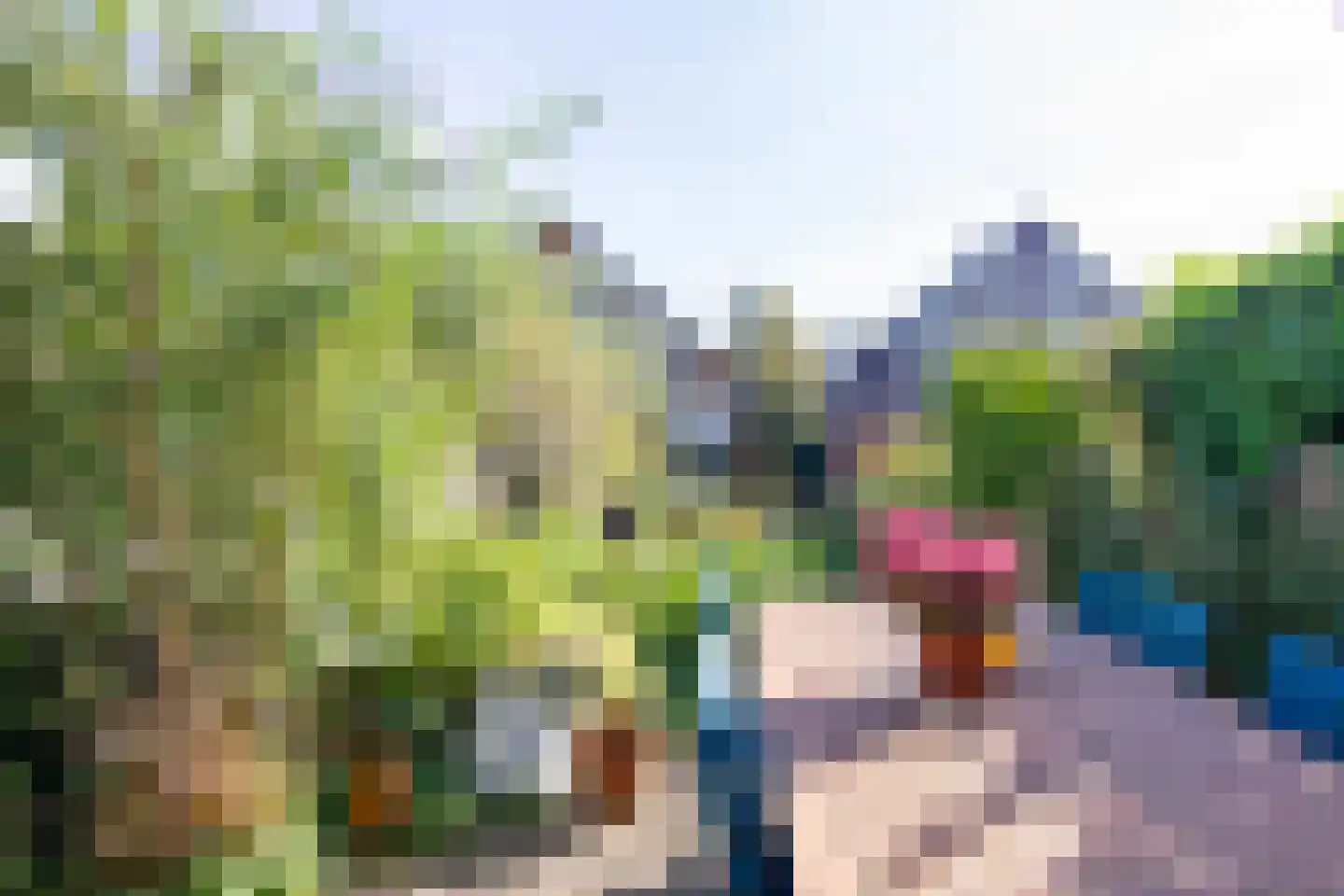 Grote Boterbloem 113 Velserbroek thumbnail 30