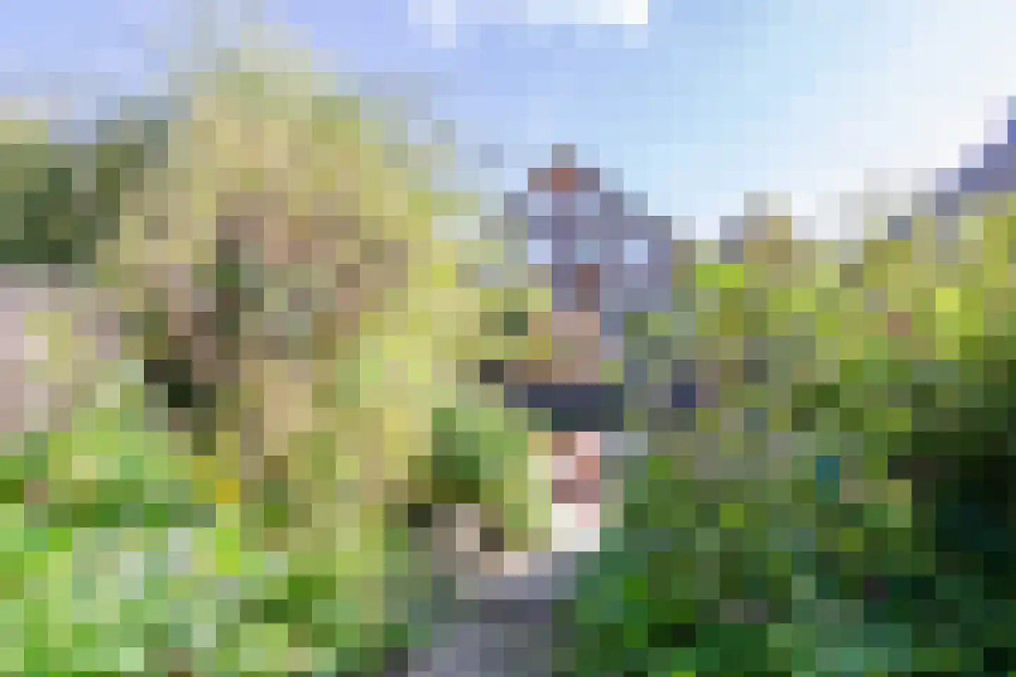 Grote Boterbloem 113 Velserbroek thumbnail 31