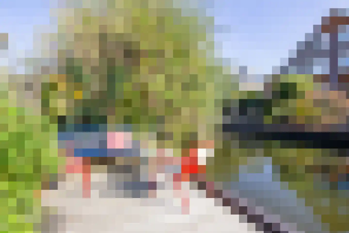 Grote Boterbloem 113 Velserbroek thumbnail 32