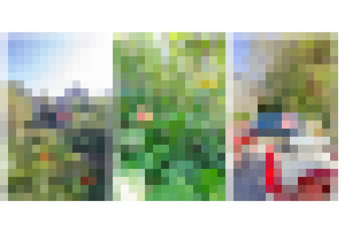 Grote Boterbloem 113 Velserbroek thumbnail 35