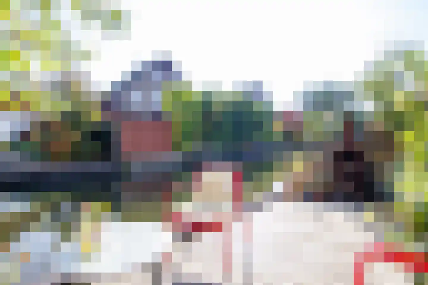 Grote Boterbloem 113 Velserbroek thumbnail 36