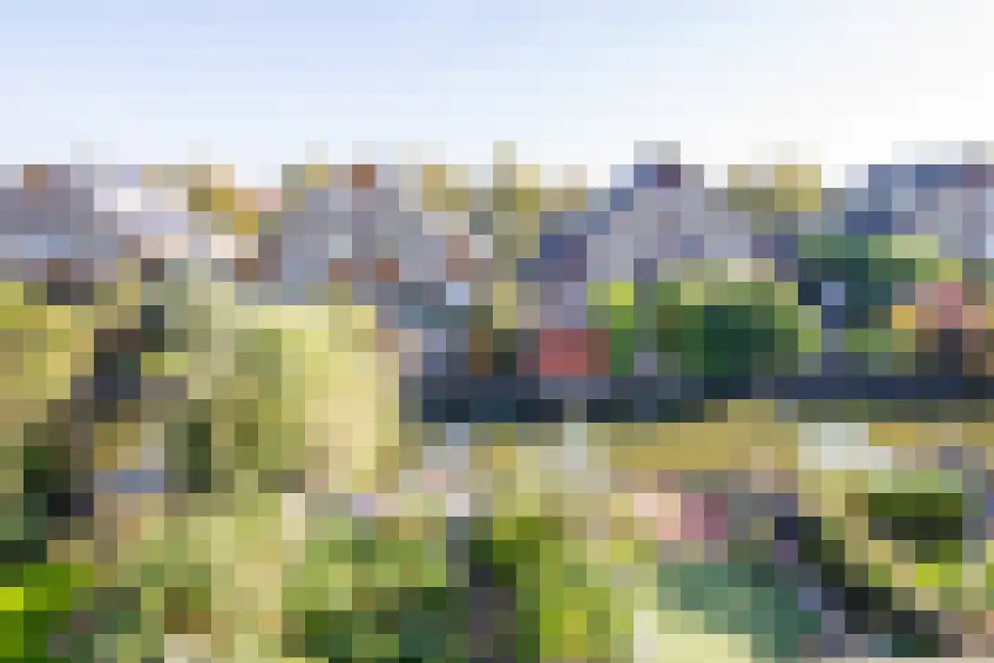 Grote Boterbloem 113 Velserbroek thumbnail 48