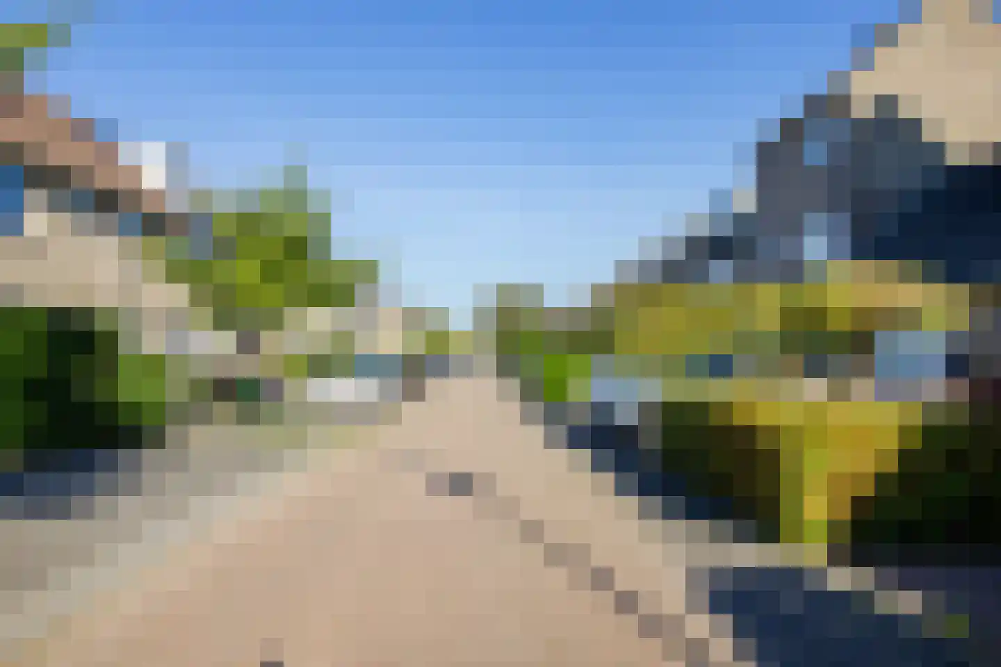 Grote Boterbloem 113 Velserbroek thumbnail 49