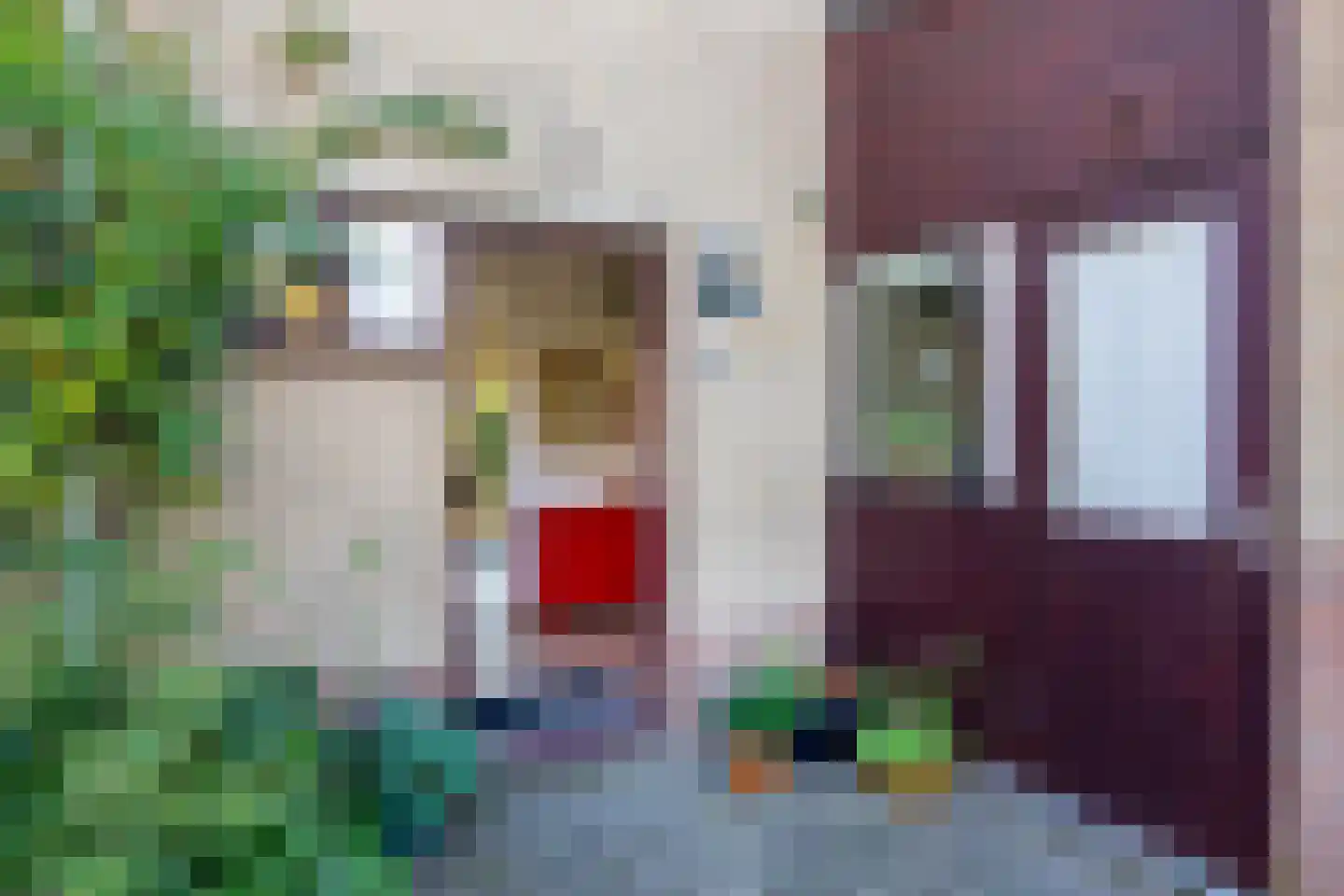 Grote Boterbloem 113 Velserbroek thumbnail 9