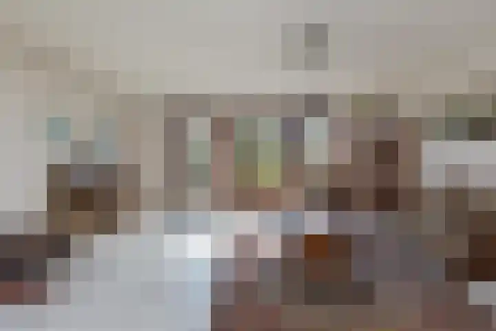 Grote Boterbloem 65 Velserbroek thumbnail 11