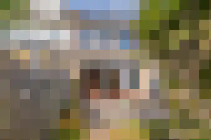 Grote Boterbloem 65 Velserbroek thumbnail 18