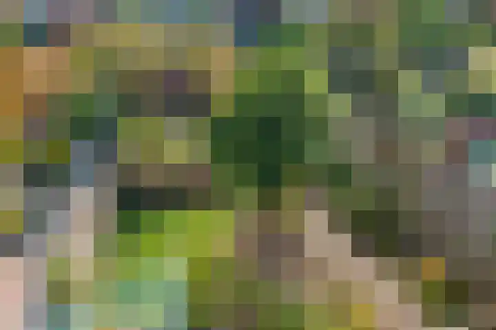 Grote Boterbloem 65 Velserbroek thumbnail 19