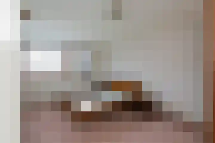 Grote Boterbloem 65 Velserbroek thumbnail 25