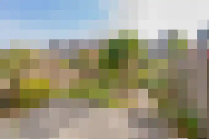 Grote Boterbloem 65 Velserbroek thumbnail 5